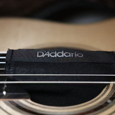 D’Addario